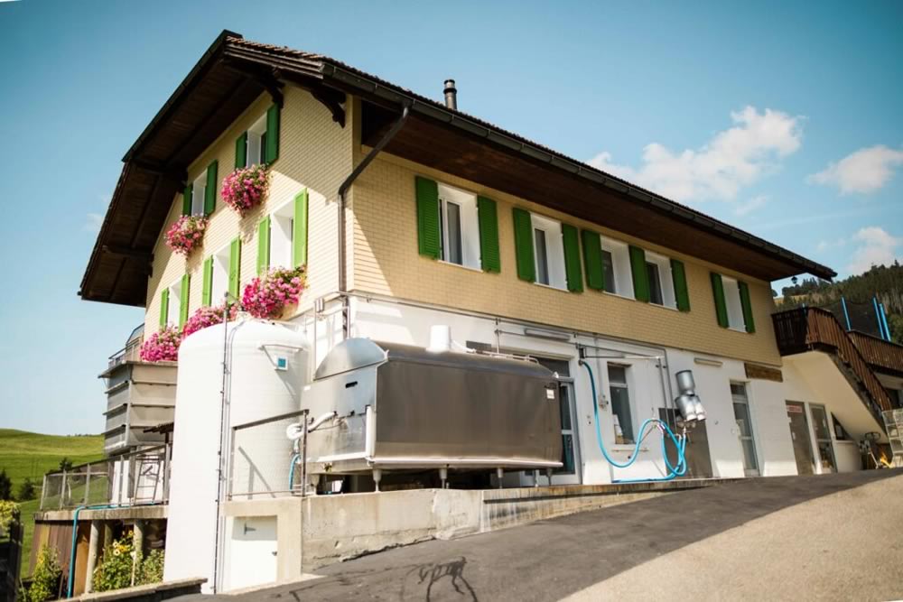 Bergkäserei Oberberg AG