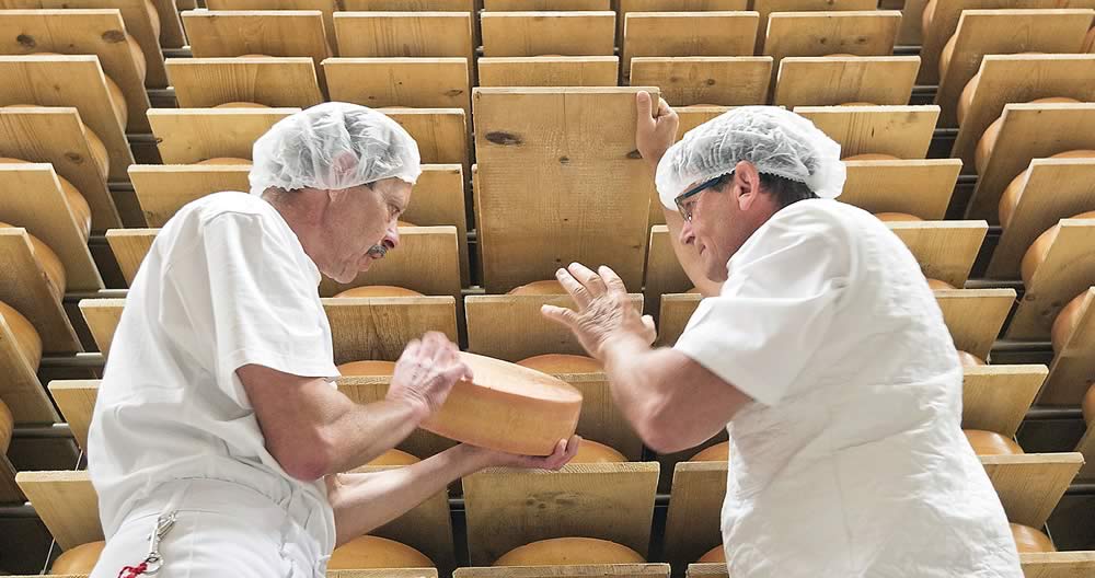 Bodensee Käse AG