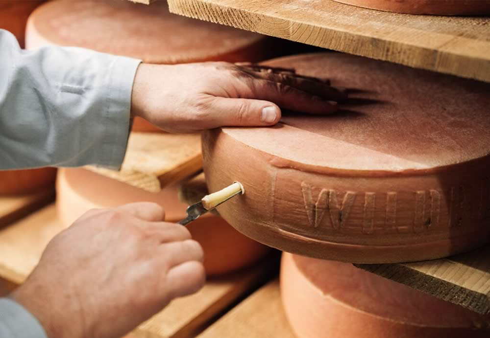 Hardegger Käse AG
